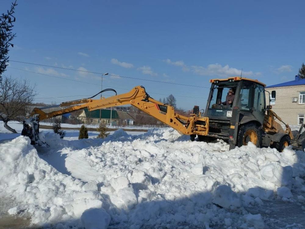 В Пензенской области стартовал весенний месячник по санитарной очистке, благоустройству и озеленению территории.